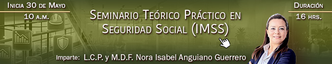 SEMINARIO TEÓRICO PRÁCTICO EN SEGURIDAD SOCIAL (IMSS)