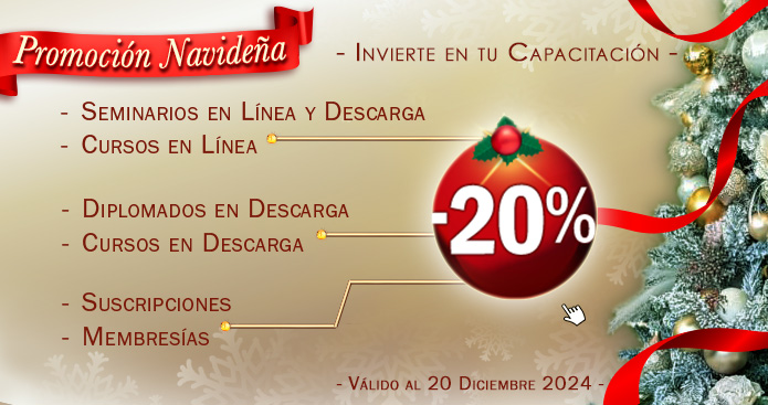 Promoción Navideña 2024 - Sinergia Inteligente