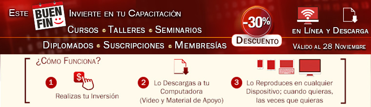 Promoción Buen Fin 2025