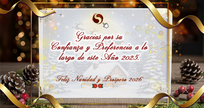 ¡Felices Fiestas Decembrinas!